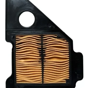 Filtro aire Ybr 125Z  Protech